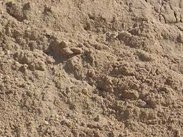 A picture of concrete sand